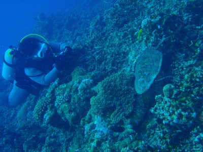 20120415_183706907.JPG