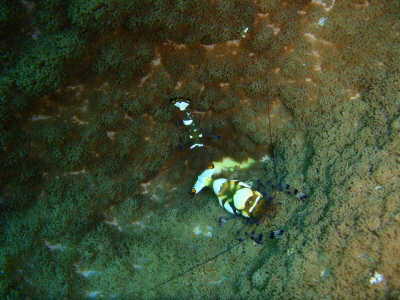 20120416_180129782.JPG