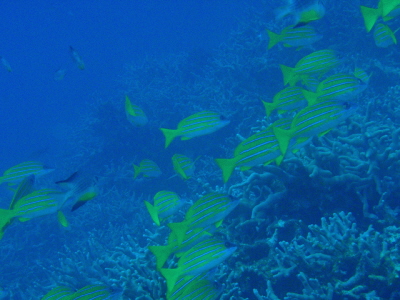 20120419_180052313.JPG
