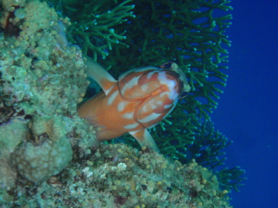20120419_180136813.JPG