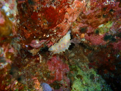 20120423_182527610.JPG