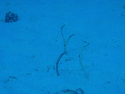 20120423_182636829.JPG