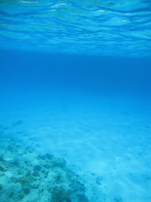 20120514_bleu.JPG