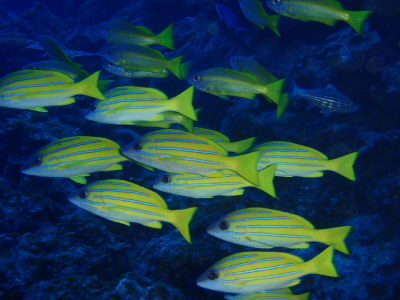 20120517_124553735.JPG