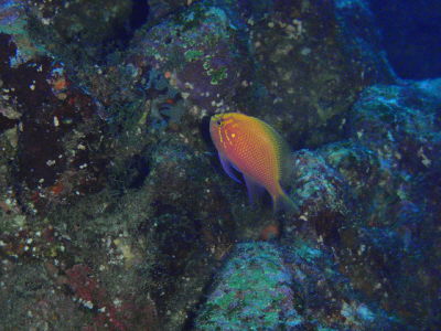 20120518_113403172.JPG