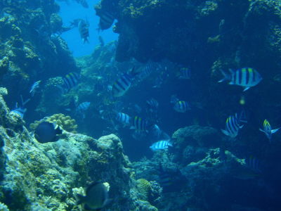 20120518_182249891.JPG