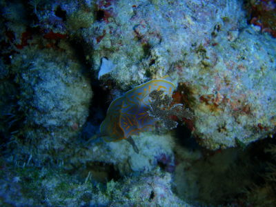 20120602_133557788.JPG