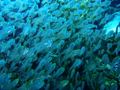 20120713_183932235.JPG