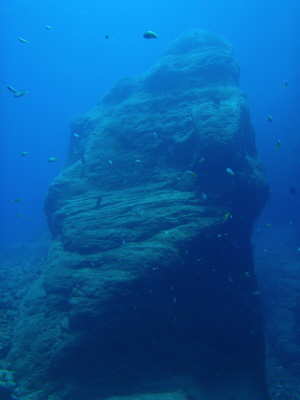 20120721_174425516.JPG