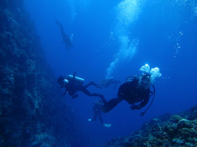 20120722_161852704tikei.JPG