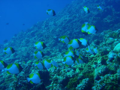20120813_174935891.JPG