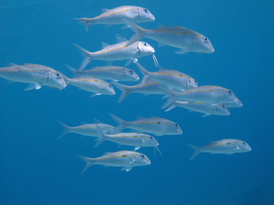 20120817_183246813.JPG