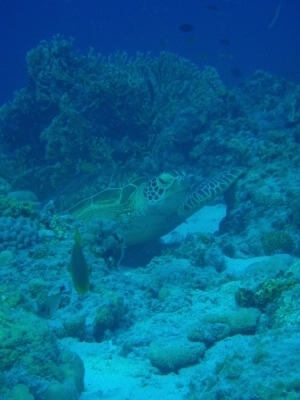 20120821_201241954.JPG