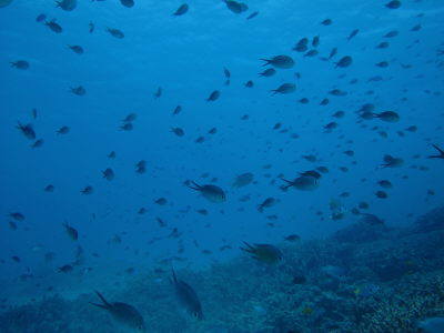 20120830_112305891.JPG