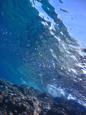 20120909_204204032kikikibi.JPG