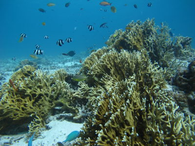 20120910_174038157.JPG
