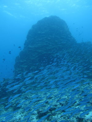 20120924_185416297.JPG
