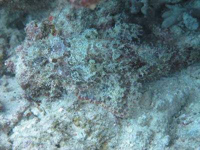 20121002_171626376.JPG