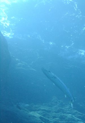 20129251.JPG