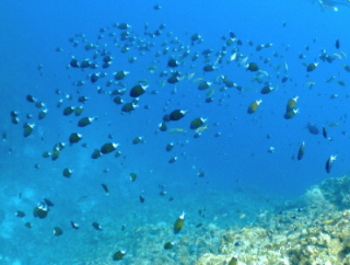 DSCF5248.JPG