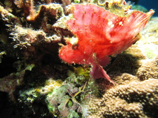 IMG_0404.JPG