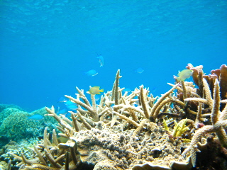 IMG_1550.JPG