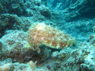 IMG_6404.JPG