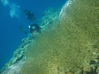 IMG_7244.JPG