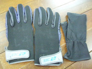 glove091005.JPG