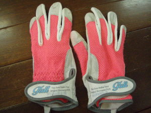 glove_2091005.JPG