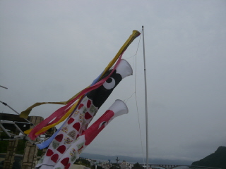 koinobori.JPG