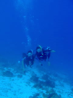 pukapuka11q14.JPG
