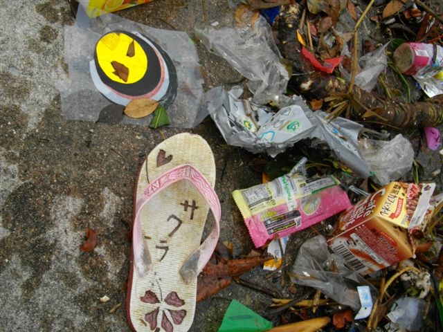 20100430so.JPG