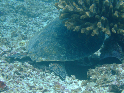 10-0503-4.jpg