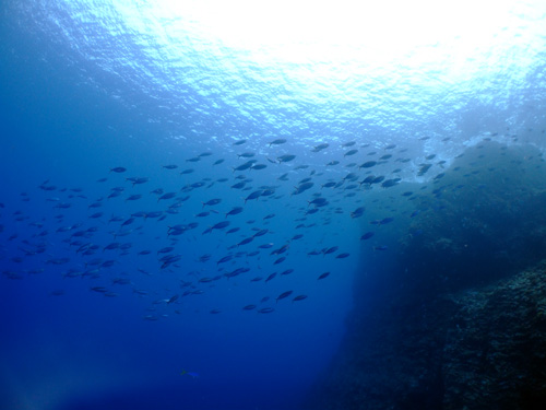100817-3.jpg