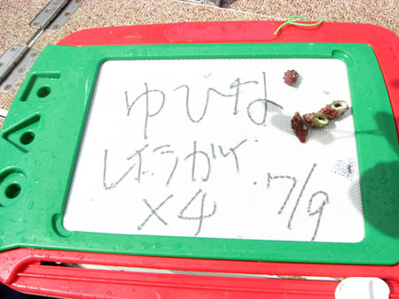 11-7-9-58.JPG