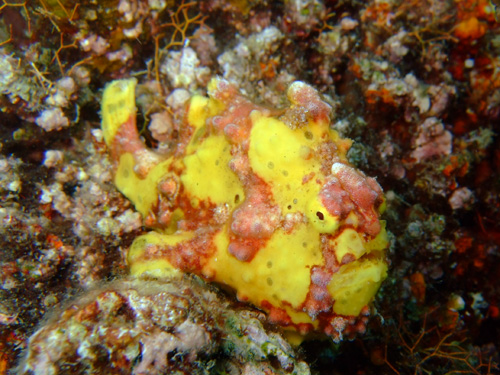 120403-11.jpg