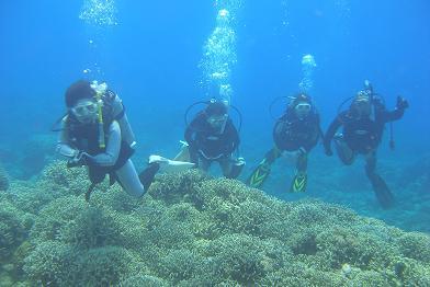 2008726syuu2.JPG