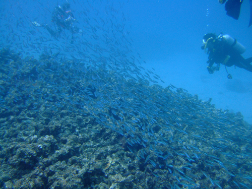 20100817guruguru.jpg