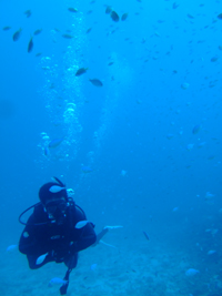 20100829driftt.jpg