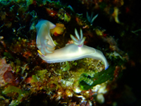 20110619zougeiro.jpg