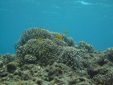201111162.JPG