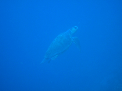 20120215aka1.jpg