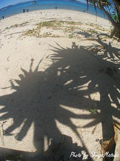 P8020027.JPG