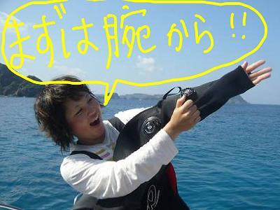 kikata1.JPG
