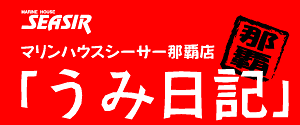 シーサー那覇店ダイビングブログ