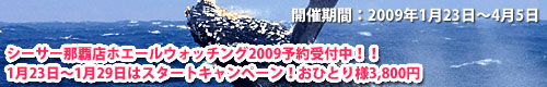whale2009link500-80.jpg
