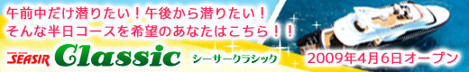 半日で沖縄ダイビングを満喫できるシーサークラシック