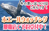 ホエールウォッチング予約受付中！