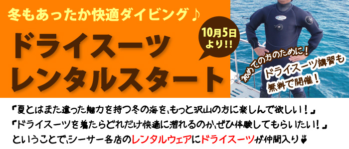 冬もあったか快適ダイビング♪ドライスーツレンタルスタート